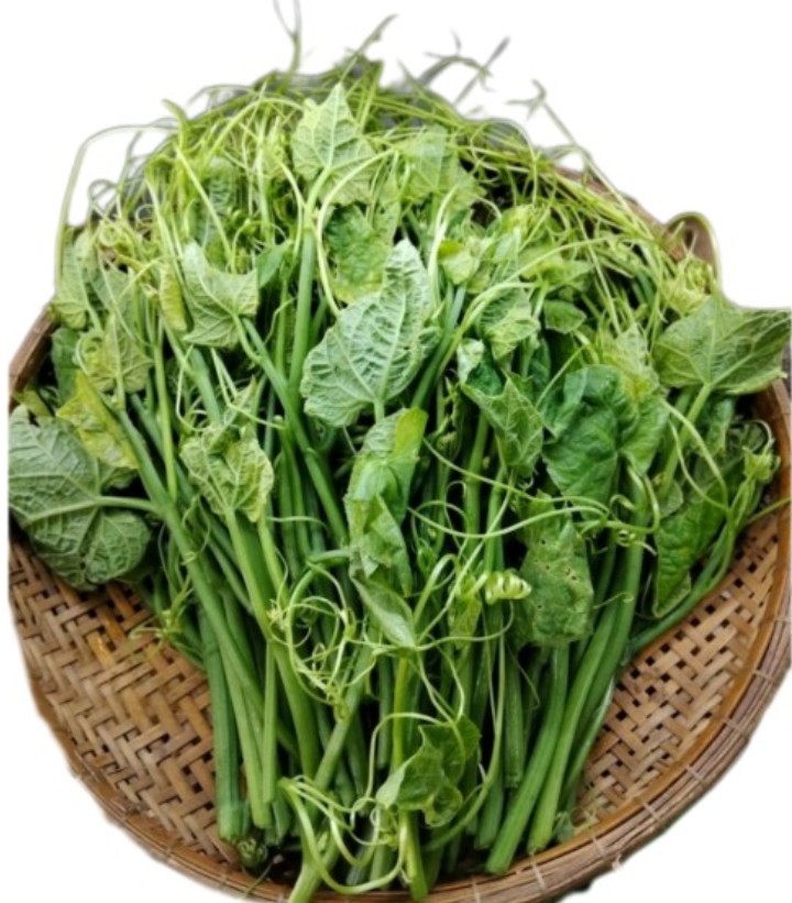 Ngọn Su Su